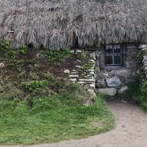 Meet your Posher, Lizzy